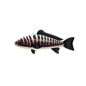 Striped Guile Fish